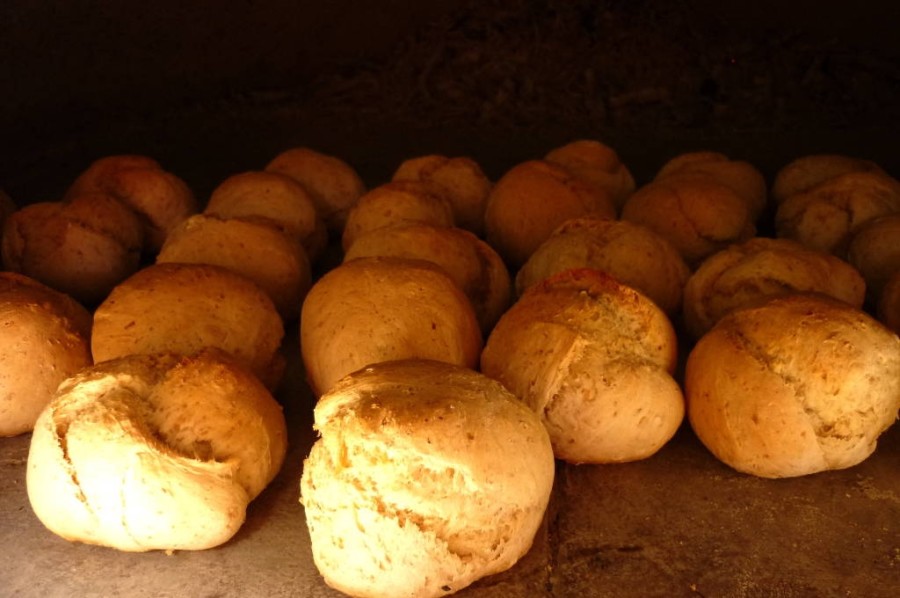 Il pane semi-integrale nel forno a legna