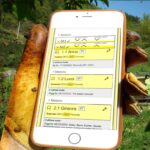 InApiario: un diario gratis per apicoltori sullo smartphone