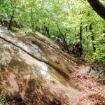 La pietra del Lulseto: Una roccia santuariale preistorica nell’appennino?