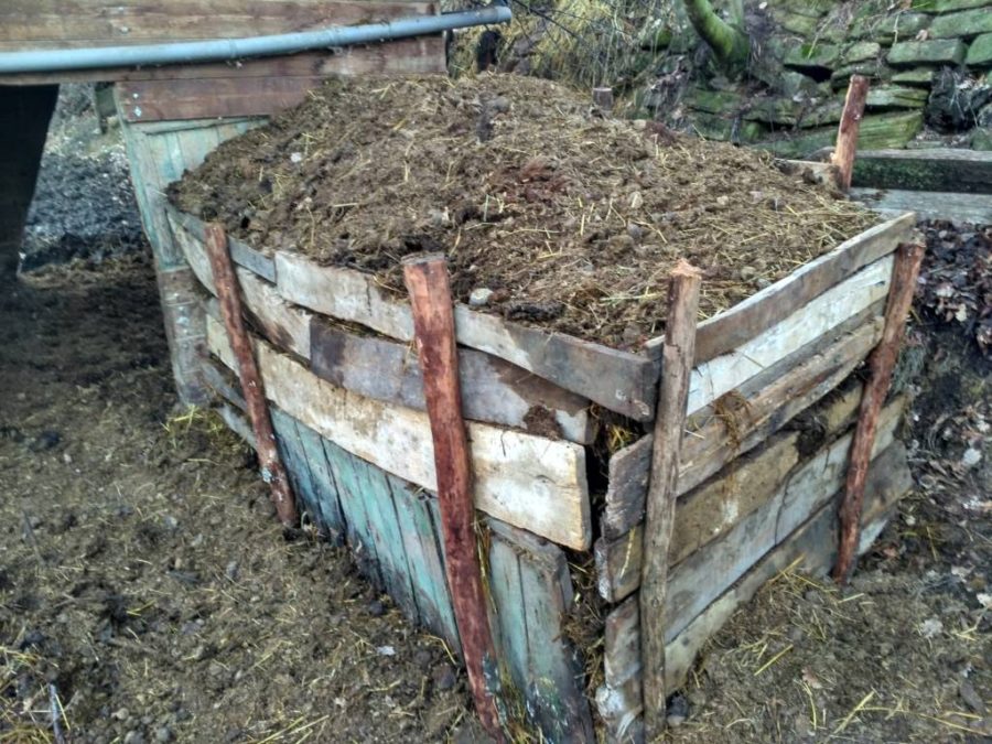 compost da letame di cavallo