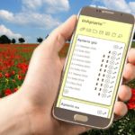 InApiario - un'app libera per monitorare le api da miele