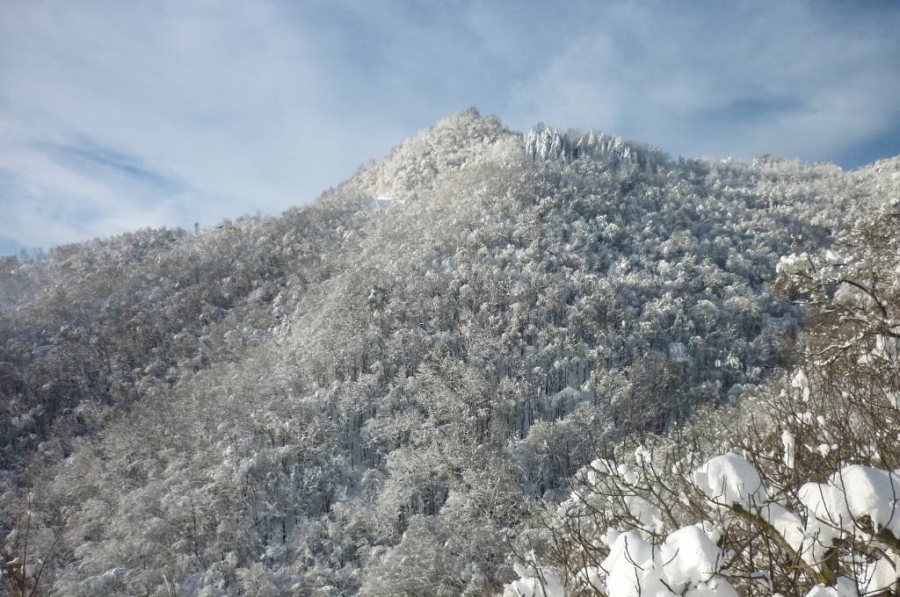 Val Tassaro nella neve 2015